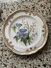 Spode china england for sale  WEST BYFLEET