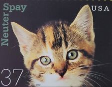 Kitten spay neuter for sale  Palm Bay