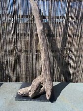 Large driftwood piece for sale  BRIDGEND