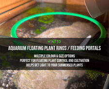 Aquarium floating plant for sale  KINGSWINFORD
