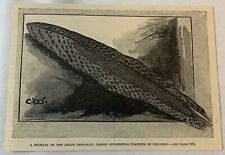 1886 magazine engraving for sale  Wilmington