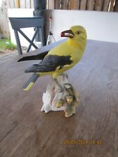 Pirol vogel jahres gebraucht kaufen  Oberhausen-Rheinhausen