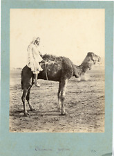 Algérie chameau porteur d'occasion  Pagny-sur-Moselle
