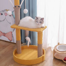 75cm pet cat for sale  UK