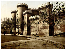 Tarascon château roi d'occasion  Pagny-sur-Moselle