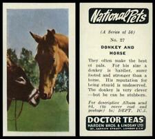 Donkey horse national for sale  SLEAFORD