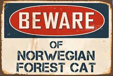 Beware norwegian forest for sale  DUNSTABLE