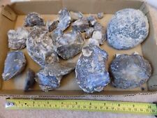 Collection geodes quartz for sale  WELSHPOOL