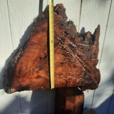 Redwood burl slab for sale  Clearlake