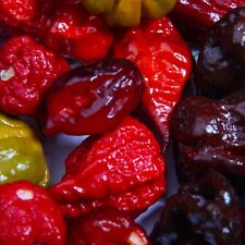 Mix hot chilli for sale  HENLEY-ON-THAMES