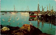 Postcard maine boothbay for sale  Flagstaff