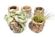 Cork bark planters for sale  Saint Augustine