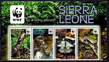 Sierra leone 2011 usato  Trambileno