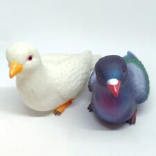pigeon dove for sale  SOUTHAMPTON