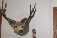 Replica mule deer for sale  Brandon