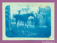 Cyanotype 1900 cheval d'occasion  Chaumont