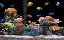Fish underwater aquarium for sale  BIRMINGHAM