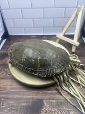 Box turtle indian for sale  Tampa