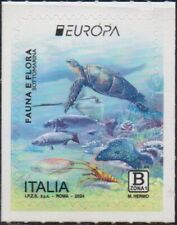 Italia 2024 tartaruga usato  Italia
