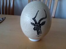 Ostrich egg animal for sale  NORWICH
