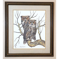 Great horned owl for sale  Columbia