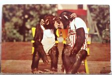 Florida monkey jungle for sale  Wilmington