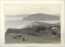 Antique engraving teignmouth for sale  WORTHING