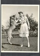 Ann sheridan boxer for sale  Simi Valley