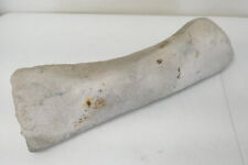 Large fossilized articulated for sale  Portland