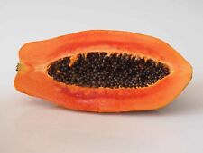 Papaya seeds red d'occasion  Expédié en Belgium