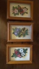 Framed butterly pictures for sale  BRIGHTON