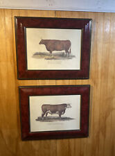 bull heifer for sale  Newport
