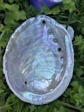 Abalone piece for sale  Willow Creek