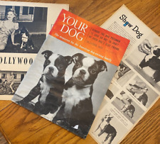 Vintage boston terrier for sale  Webster