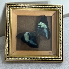 Vintage wall butterfly for sale  LEICESTER