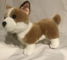 Aurora miyoni corgi for sale  Highland