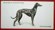 Greyhound original 1931 for sale  DERBY