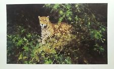 David shepherd jaguar for sale  LICHFIELD