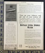 1914 buffalo lithia for sale  Branch