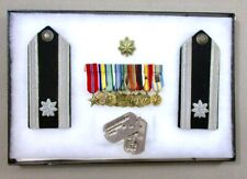 Miniature medals dog for sale  Ashburnham