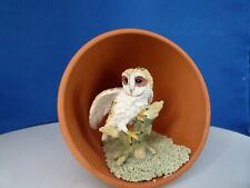 Owl inside plant for sale  BILLINGHAM