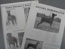 Dobermann dog breed for sale  HOLYWELL