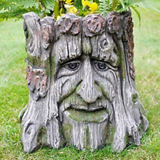 Tree man plant for sale  DAGENHAM
