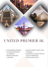 United Premier 1K actualización de estado 120 días Star Alliance dorado segunda mano  Embacar hacia Argentina