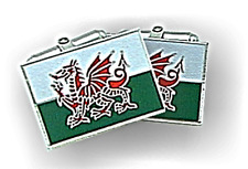 Wales flag dragon for sale  LEWES