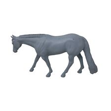 project paint horse for sale  Altamont