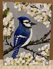 Blue jay bird for sale  Denver