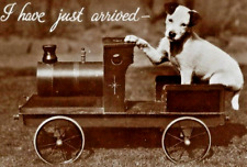 1930s dog rppc for sale  Philadelphia