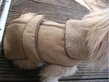 Hunde winter mantel gebraucht kaufen  Wedel