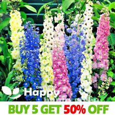Delphinium pacific tall for sale  Shipping to Ireland